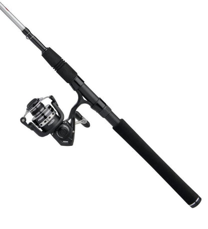 Penn Pursuit IV PURIV8000102H Spinning Combo 10' 2p 20-80lb