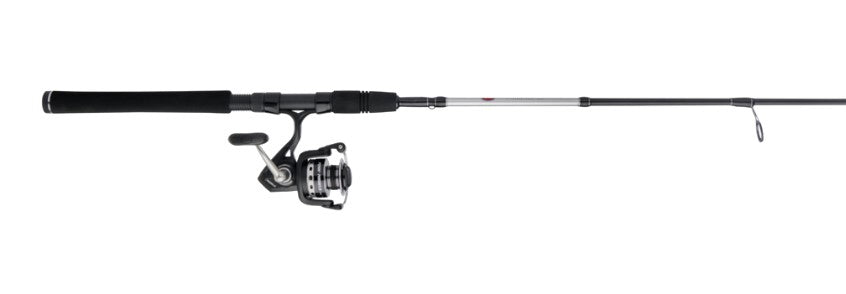 Penn Pursuit IV PURIV8000102H Spinning Combo 10' 2p 20-80lb