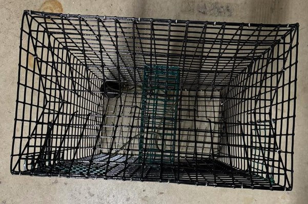 Rob's Reel Bait Half Crab 1/2 Trap 24" x 24" x 12"