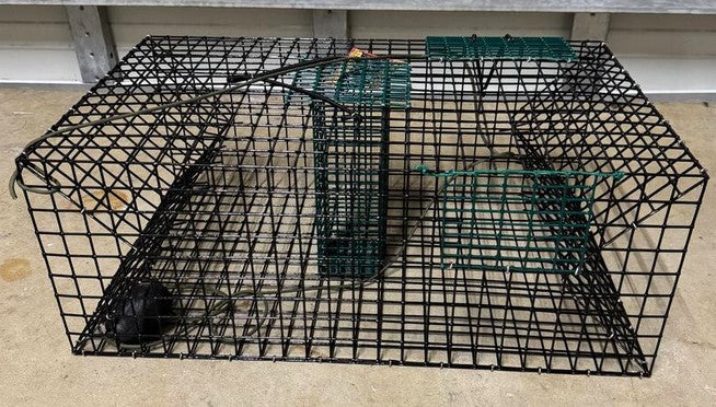 Rob's Reel Bait Half Crab 1/2 Trap 24" x 24" x 12"