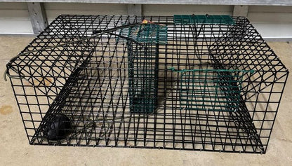 Rob's Reel Bait Half Crab 1/2 Trap 24" x 24" x 12"