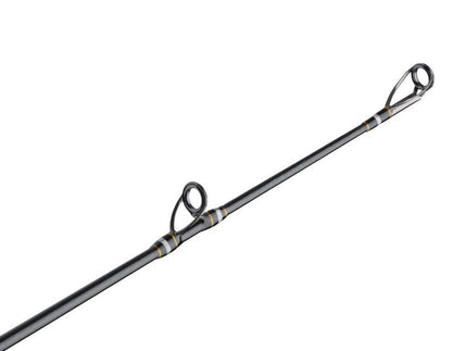 Penn CARBWIII4080C60 Carnage III Conventional Boat Rod 6' 40-80lb.