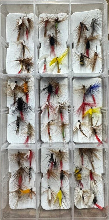 South Bend 50 Piece Fly Kit Assorted Flies with Sealable Box.