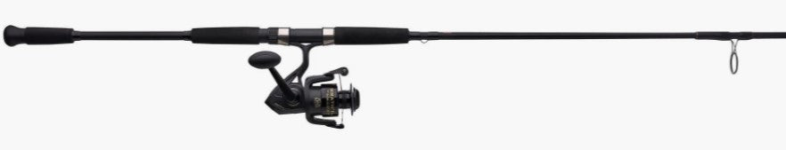 Penn WRTHII8000102H Wrath II 8000 Spinning Combo 2-Piece 10' 20-65lb.