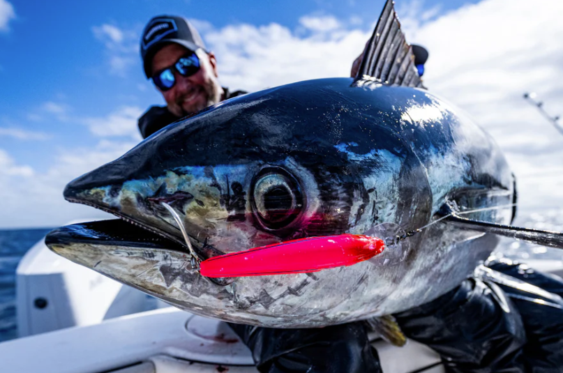 Shimano Ledge Runner Trolling Lures