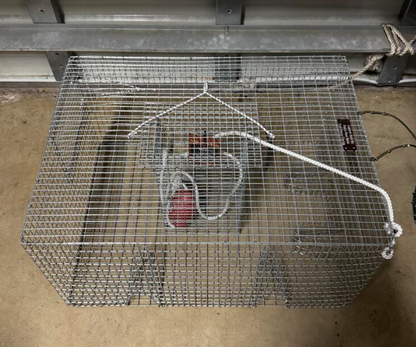 Rob's Reel Bait 6 Funnel Pinfish Trap, Galvanized Wire 24" x 18" x 12" Made In America