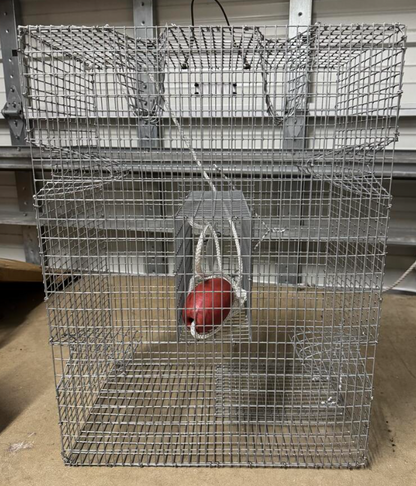 Rob's Reel Bait 6 Funnel Pinfish Trap, Galvanized Wire 24" x 18" x 12" Made In America
