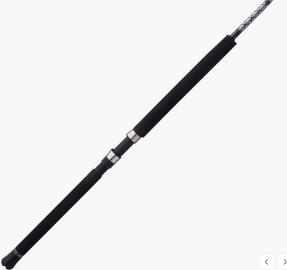 Penn ALLYBWII4080C70 Ally II Conventional Boat Rod 7' 40-80lb.