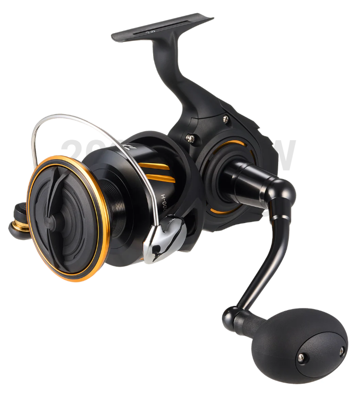 Daiwa BG SW Spinning Reel