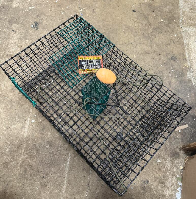 Rob's Reel Bait Quarter Bait Crab Trap 6 Funnel 24" x 15" x 9.25"