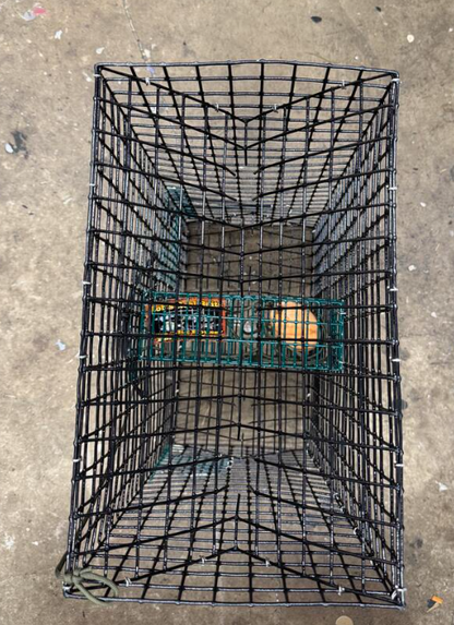 Rob's Reel Bait Quarter Bait Crab Trap 6 Funnel 24" x 15" x 9.25"