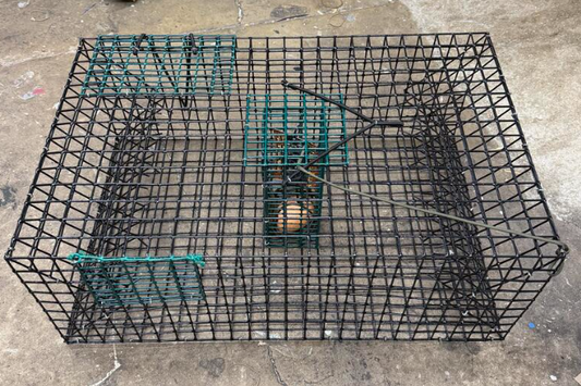 Rob's Reel Bait Quarter Bait Crab Trap 6 Funnel 24" x 15" x 9.25"