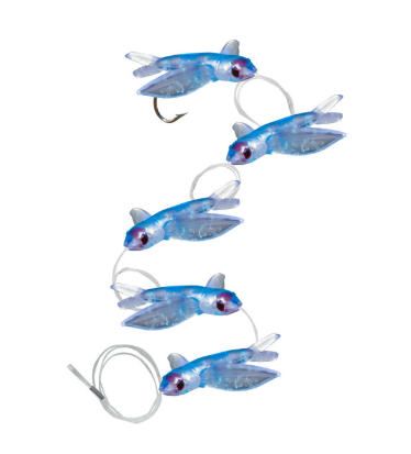 Boone  Flying Bird Daisy Chain