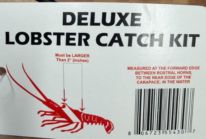 Cuda Deluxe Lobster Kit Orange Grip Gloves/ Aluminum Gauge/ Net/ 18" x 30" Mesh Bag/Aluminum Tickle