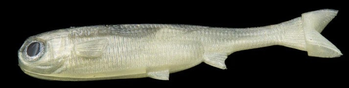 NLBN K-Tails Fishing Lures