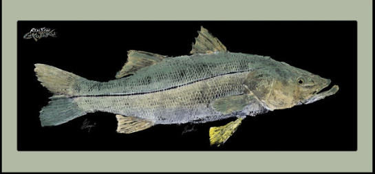 Real Fish Gyotaku H2O High Definition Floor Door Mats