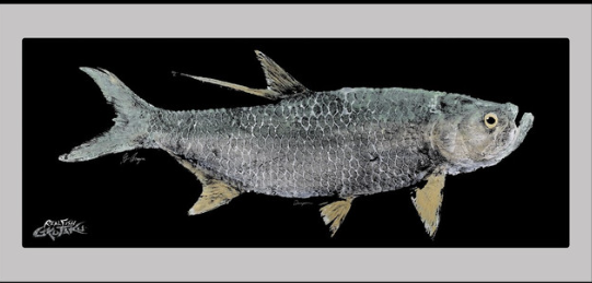 Real Fish Gyotaku H2O High Definition Floor Door Mats