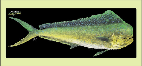 Real Fish Gyotaku H2O High Definition Floor Door Mats