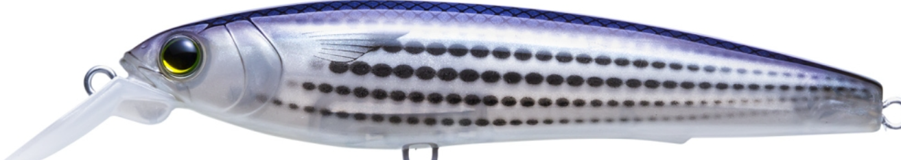 Yo-Zuri 3D Inshore Fingerling