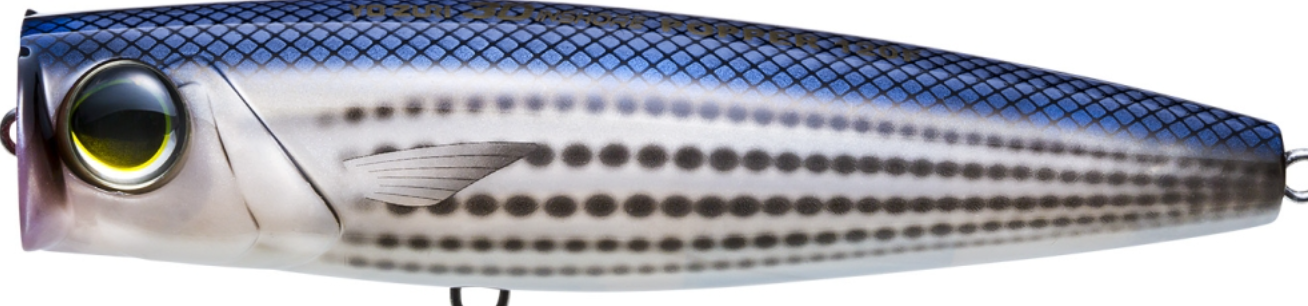 Yo-Zuri 3D Inshore Popper