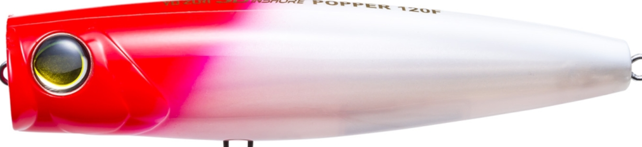 Yo-Zuri 3D Inshore Popper