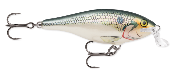 Rapala Shallow Shad Rap