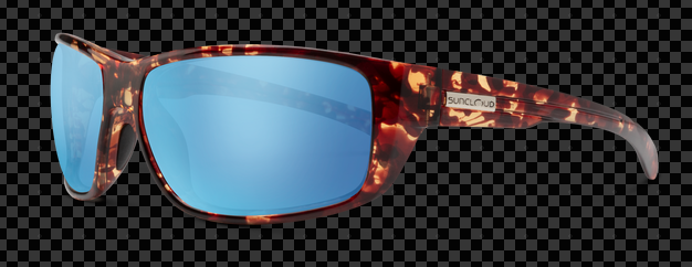 Suncloud Polarized Glasses