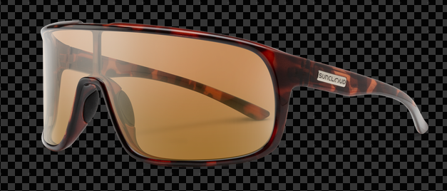 Suncloud Polarized Glasses