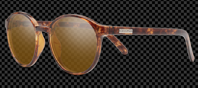 Suncloud Polarized Glasses