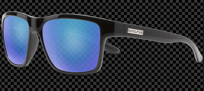 Suncloud Polarized Glasses