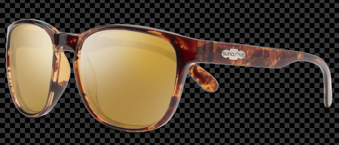 Suncloud Polarized Glasses