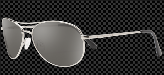 Suncloud Polarized Glasses