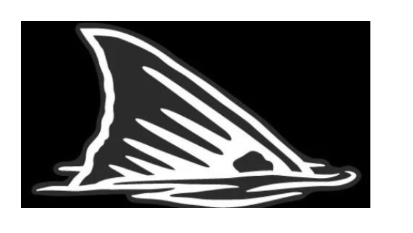 Salty Bones Plotted Style Profile Decals