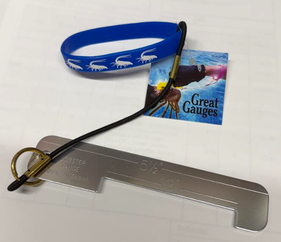 Lobster Aluminum Gauge Rubber Bracelet With Bungee 5 1/2" / 3"