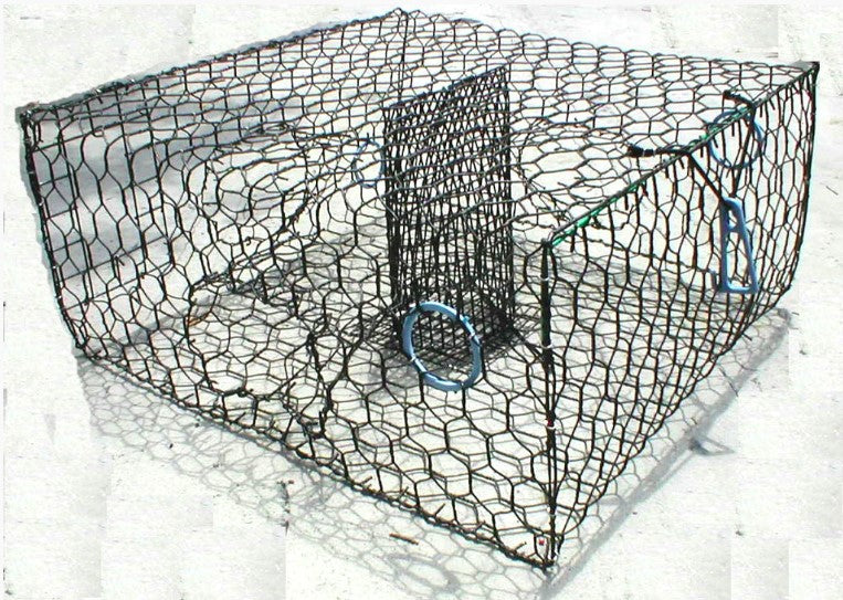 LowBoy Tsunami Blue Crab Trap.