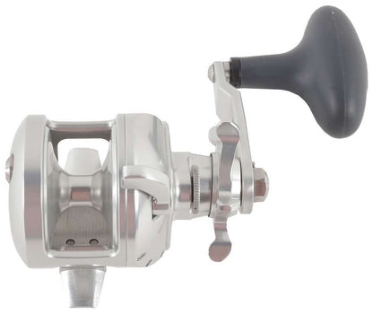 Accurate TXD-300X Tern 2 Star Drag Conventional Reel