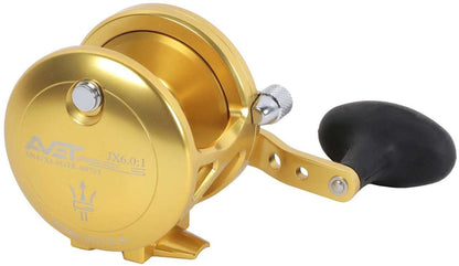 Avet JX 6.0 G2 Single Speed Reel - Gold (No Glide Plate)