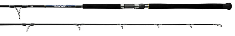 Daiwa 25 Blackwing BW822XHFS Spinning Popping Rod 8'2" 120lb 200g