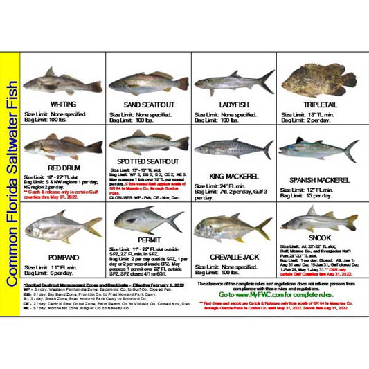 Fish ID & Regulations Mini Card for Florida