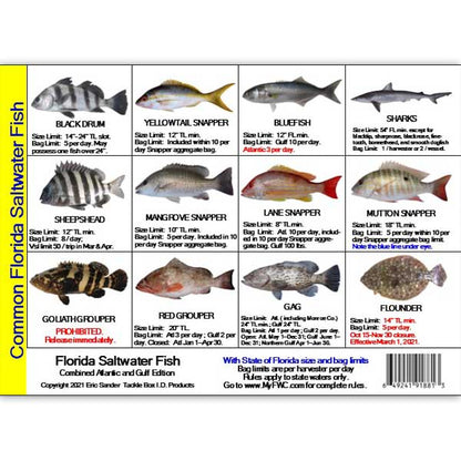 Fish ID & Regulations Mini Card for Florida