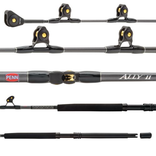 Penn Ally II Rod 30-50lb 6' All Roller Offshore Boat Conventional Rod ALLYBWII3050C60AR