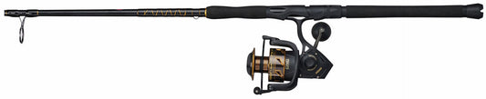 Penn Battle III 8000 Combo 10' 20-40lb 2 Piece