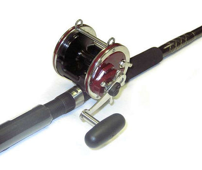 Penn 113H2 Senator Combo 6'6" 20-50lb