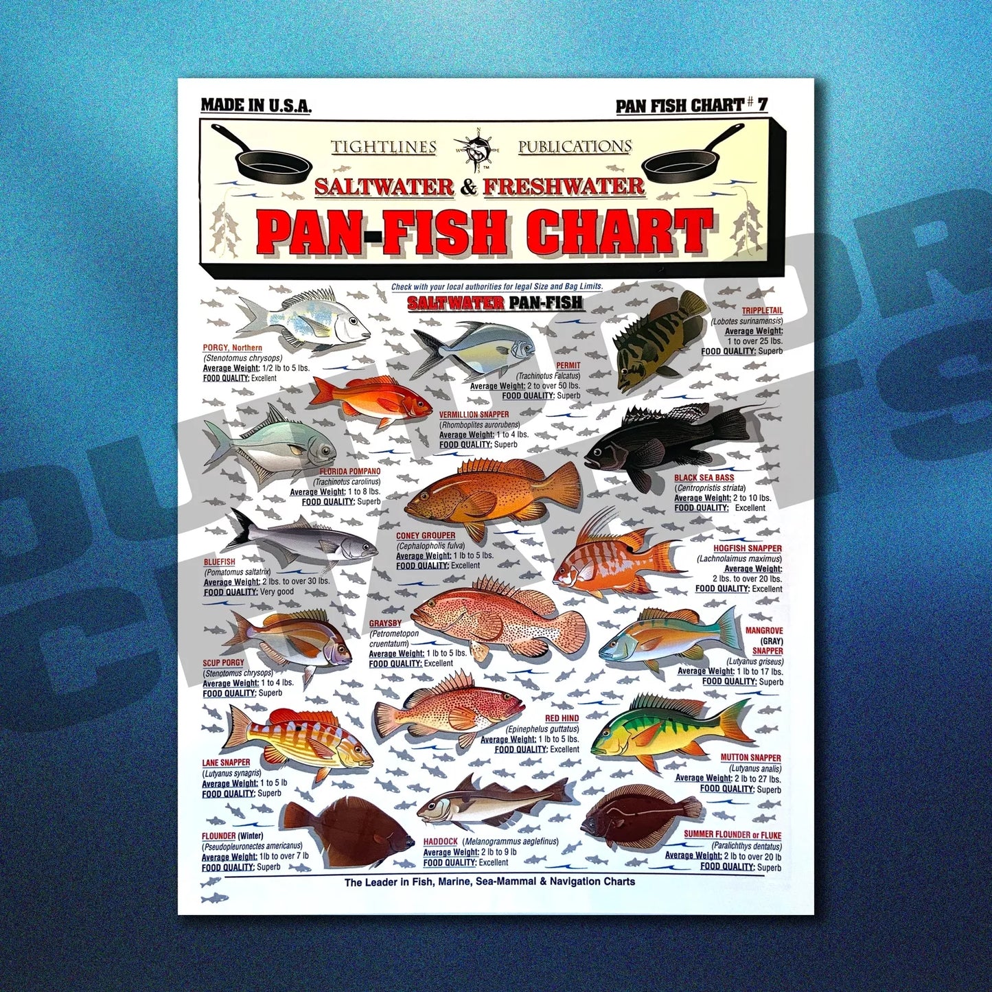Tightlines Fish ID #7 Chart - Saltwater Pan Fish