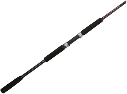 Ugly Stik USBWSF1530S102 Bigwater Surf Spinning Rod 10' 15-30lb 2 Piece