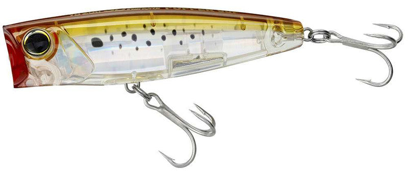 Yo-Zuri 3D Inshore Popper