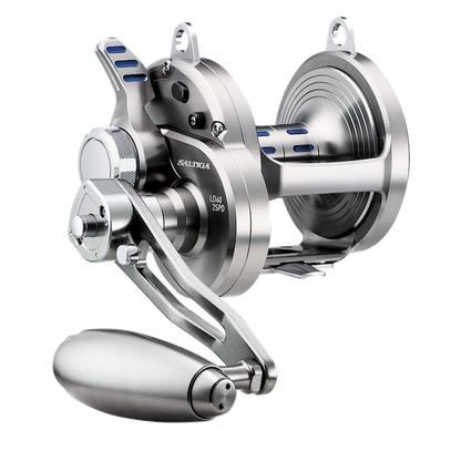 Daiwa Saltiga Conventional Fishing Reel