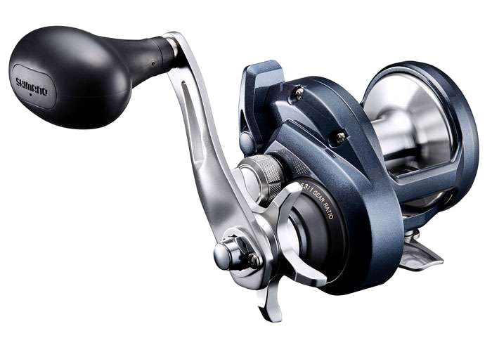 new shimano conventional reels Shimano Torium Conventional Reel. – Tuppens